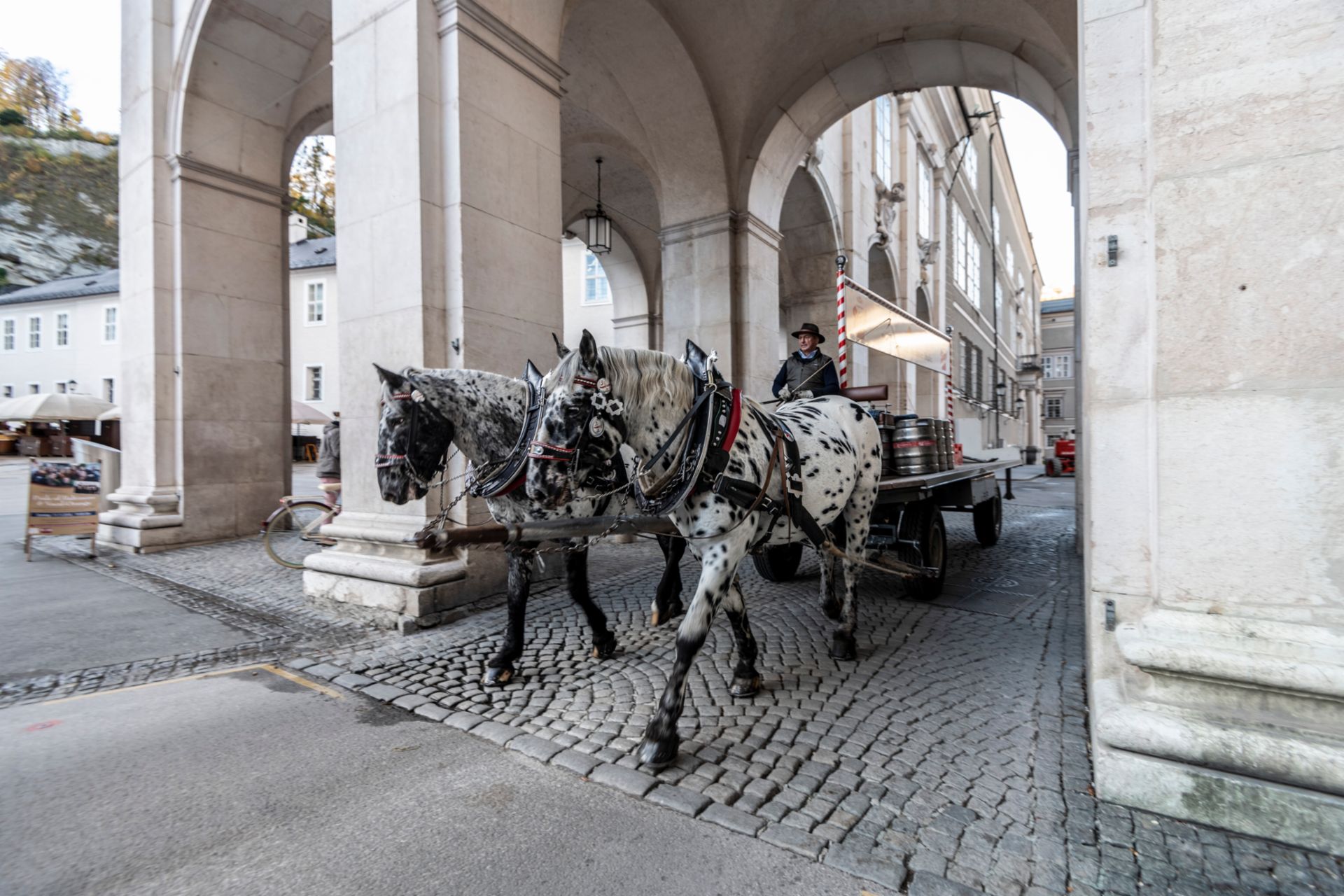 Stiegl-Kutscher Herbert Schröder und die Hengste Lenz und Lord beliefern täglich die Salzburger Altstadt.