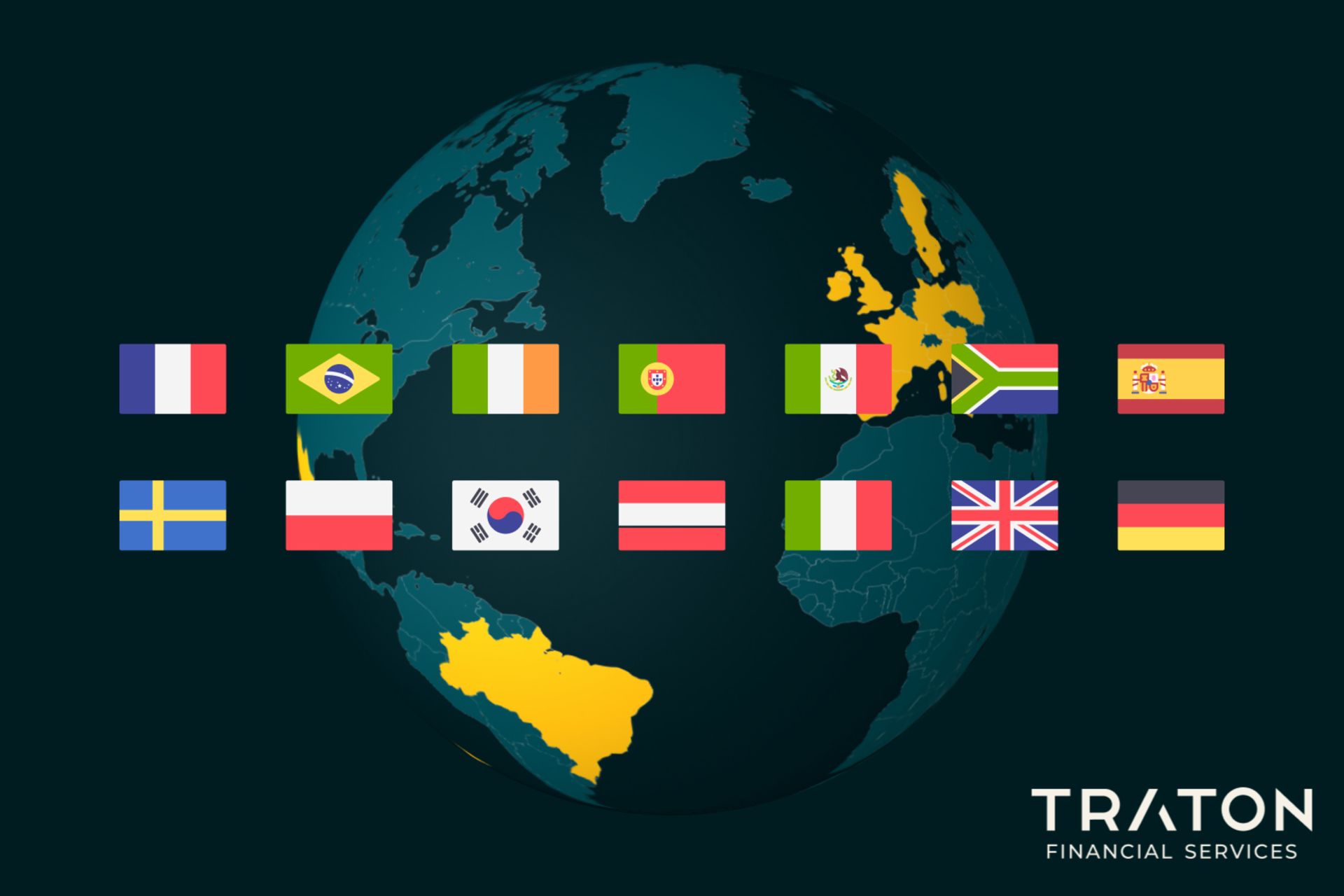 TFS flags and logo