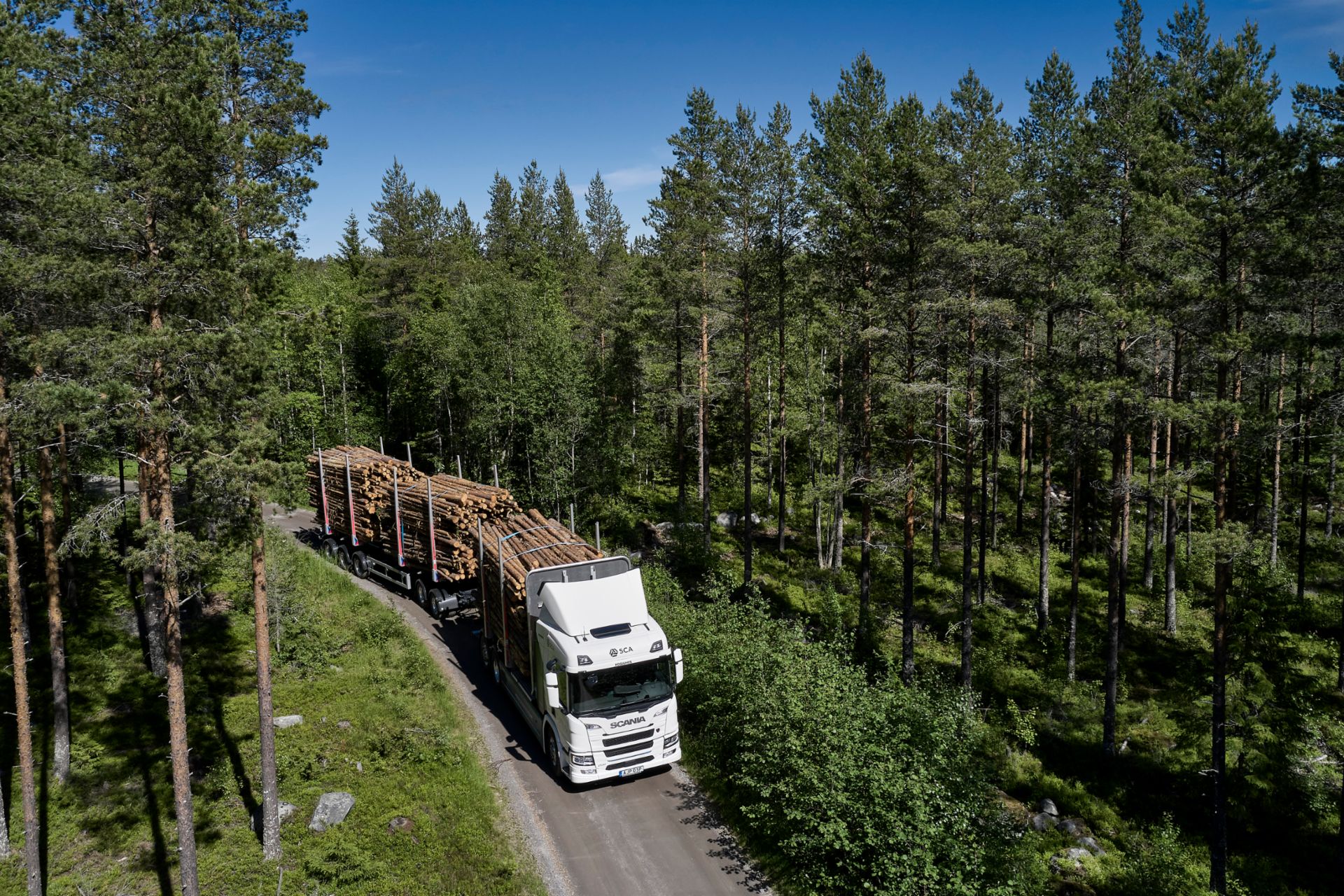 LKW transportiert Holz in Waldlandschaft
                     